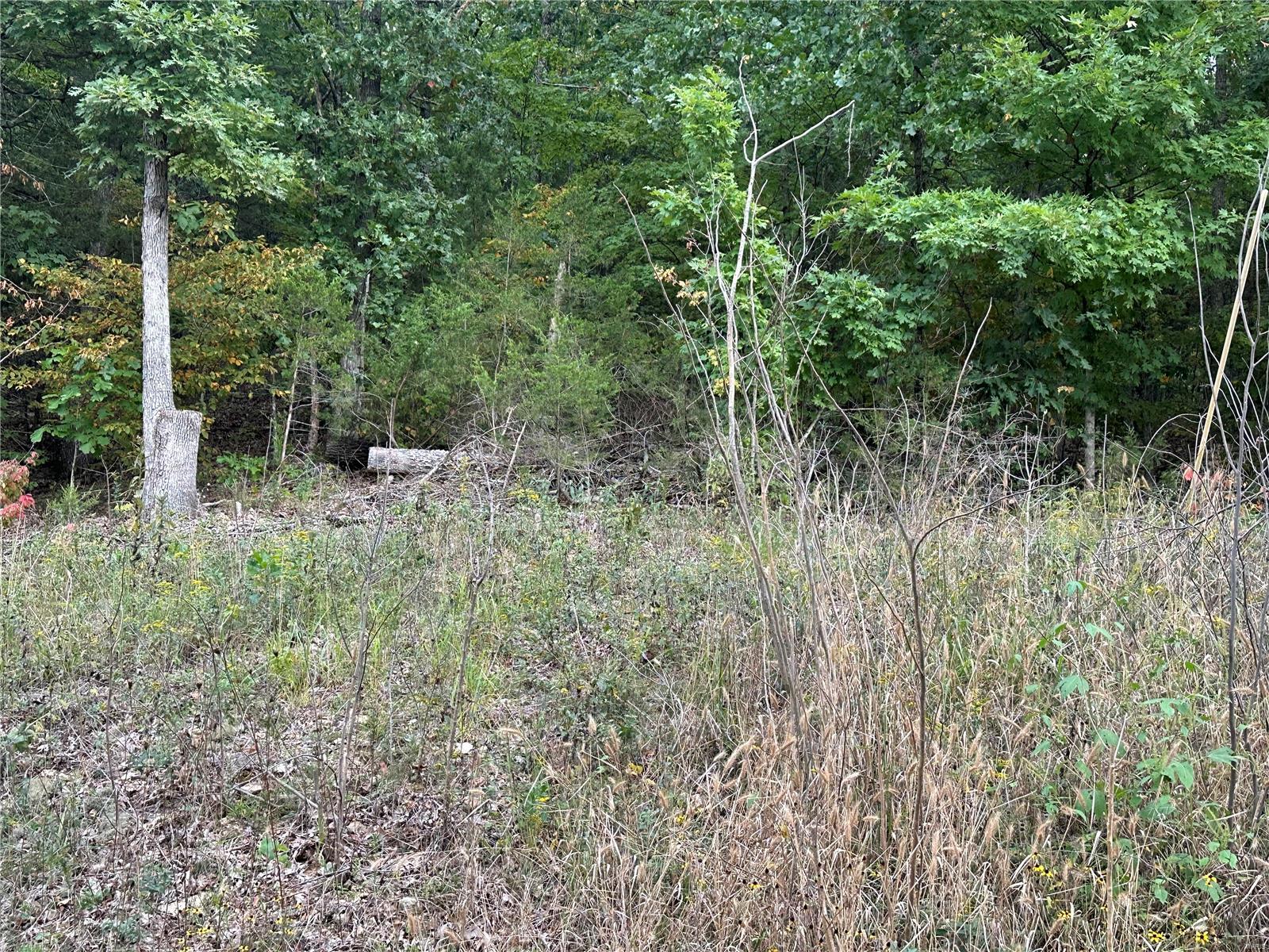 EAST HILLS SUB 2 PEACEFUL VALLEY LAKE - Land