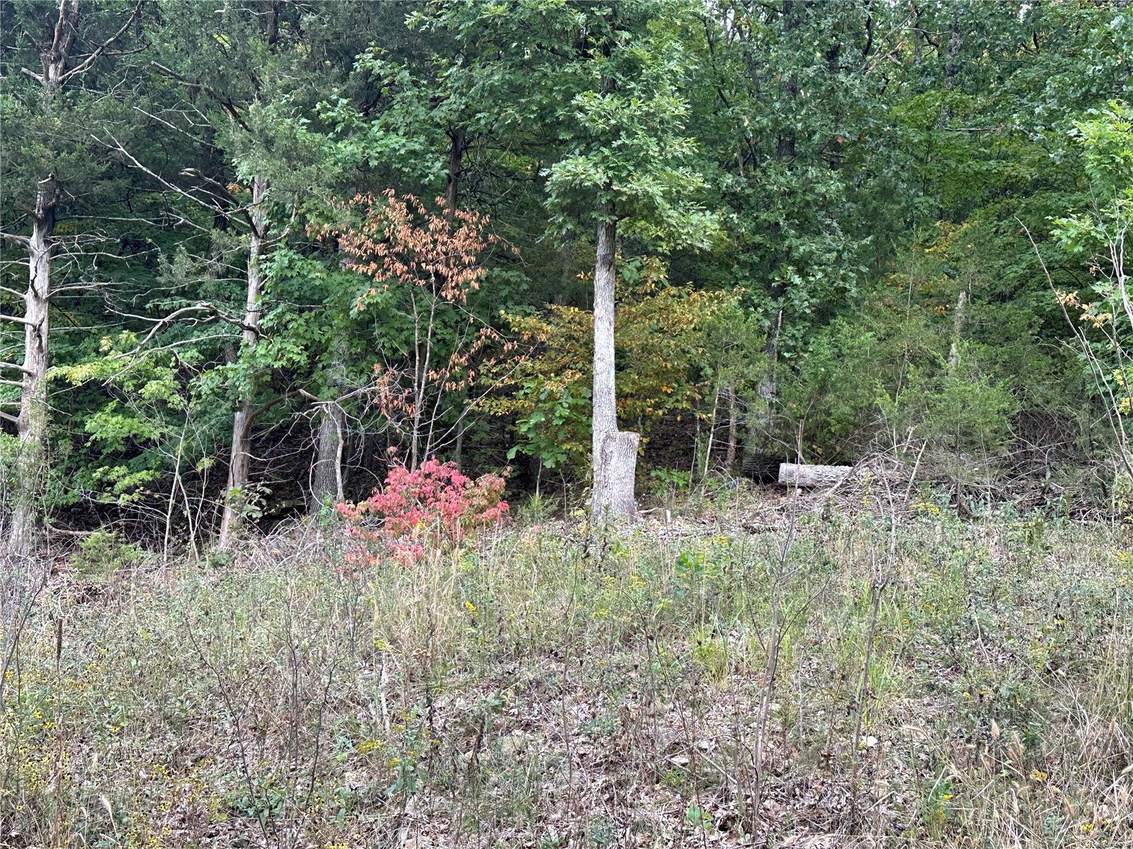 EAST HILLS SUB 2 PEACEFUL VALLEY LAKE - Land