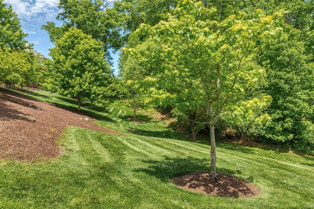 Manors At Austin Ridge Add #3 - Residential