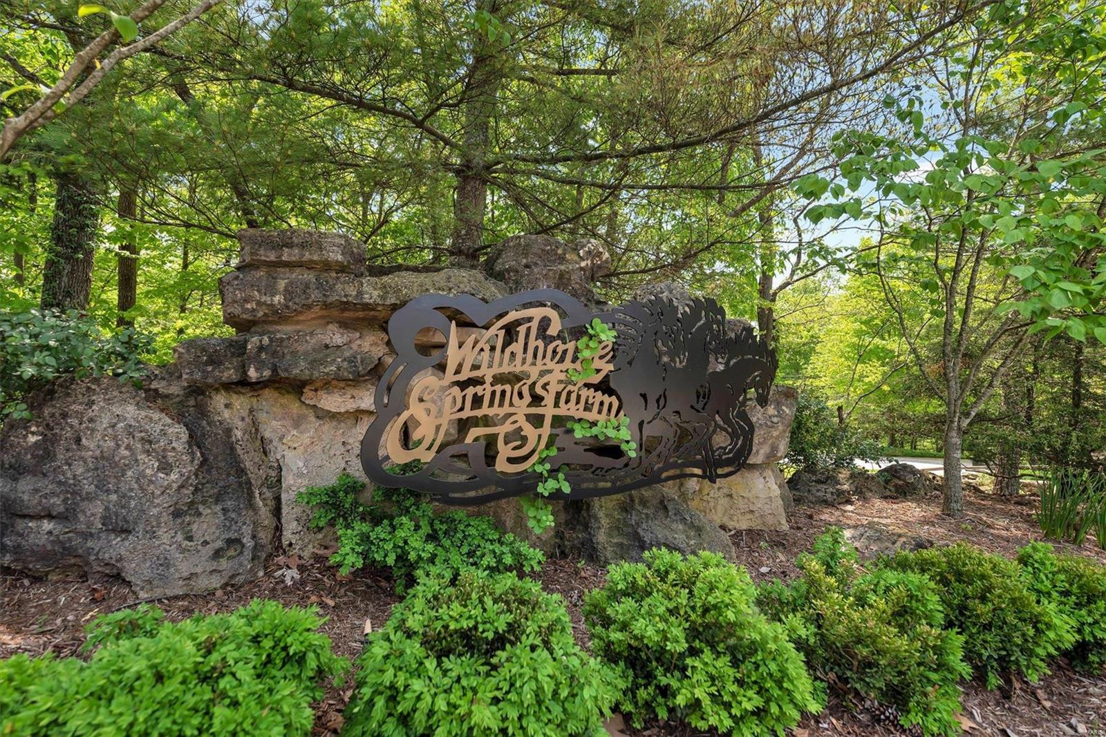 Wildhorse Spring Farm Four - Land