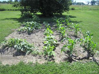 none-Rural - Residential