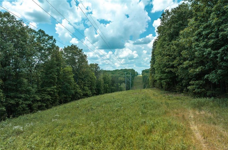 Discover a hidden gem in Texas County, Missouri—a remarkable 71 m/l acre property. Perfectly suited for hunting enthusiasts, this secluded haven offers excellent deer and turkey hunting opportunities. The strategically placed deer stand along the power line provides an ideal vantage point for observation. Adding to its allure, a serene creek meanders alongside, enhancing the picturesque landscape. Nestled within the woodlands, a small shed offers endless possibilities for recreational use or as a hunting cabin. The property's dense foliage ensures privacy and a secluded feel, inviting you to embrace the tranquility of nature. Don't miss this rare chance to own a slice of paradise. Vacant Land. Show at will.