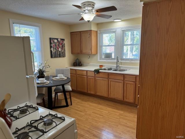 Alton, Illinois 62002, United States, 2 Bedrooms Bedrooms, ,1 BathroomBathrooms,Residential,Pending,37917