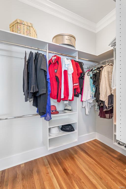 Webster Park - Residential