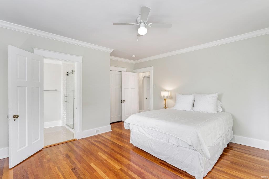 Webster Park - Residential