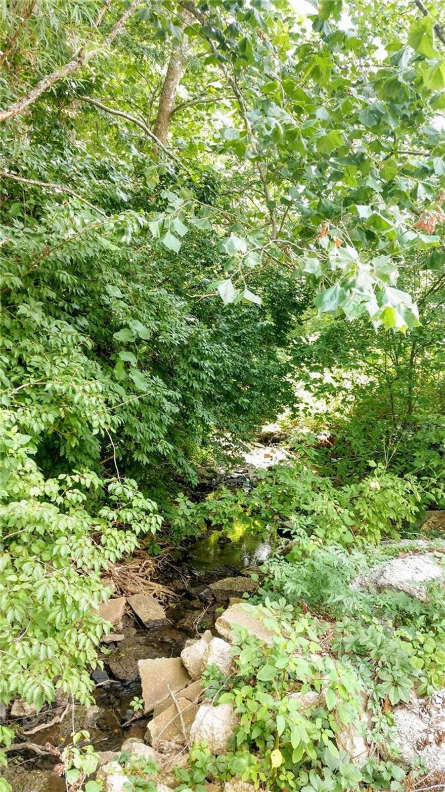 16+ Acres of Paradise in sought after area populated with many horse farms!  So build your home here and enjoy the scenery or keep going and build your barn for your very own ranch!  Such beautiful countryside views yet so close to highways and shopping!