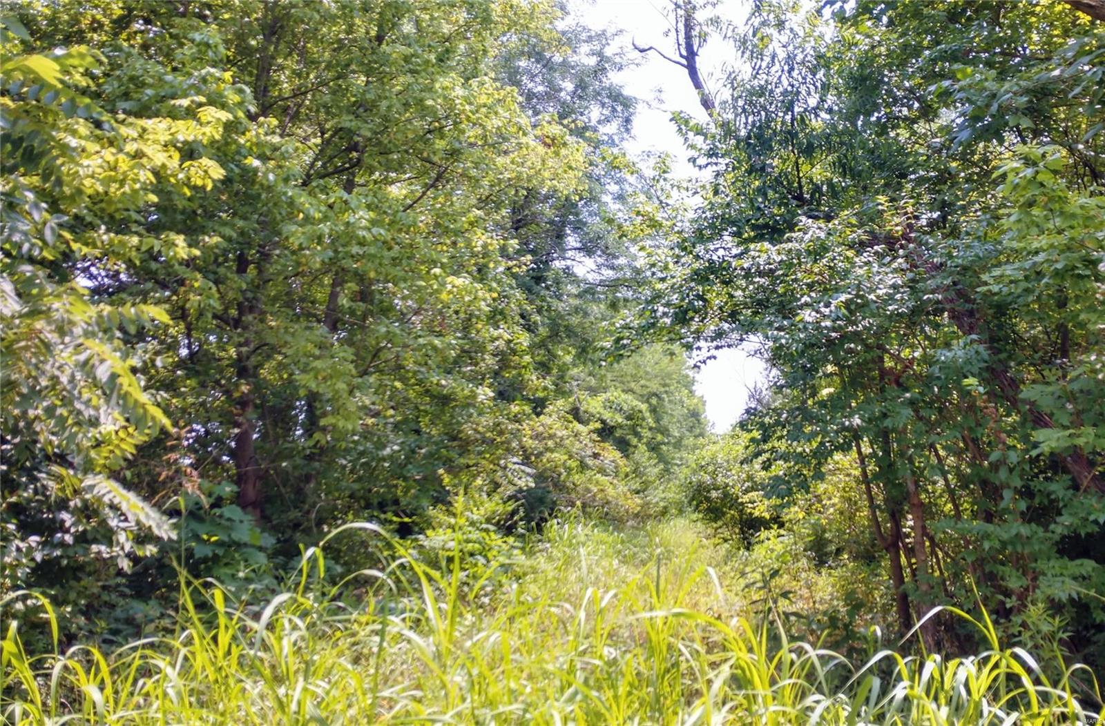 Geatley Ridge Estates 02 - Farm