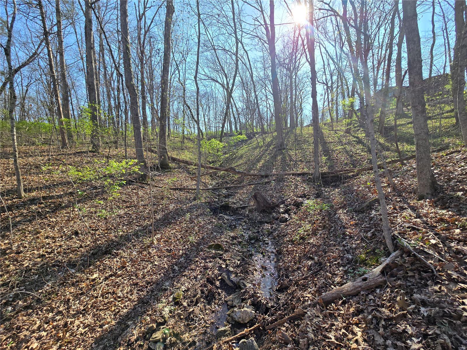 Lake Tishomingo - Land