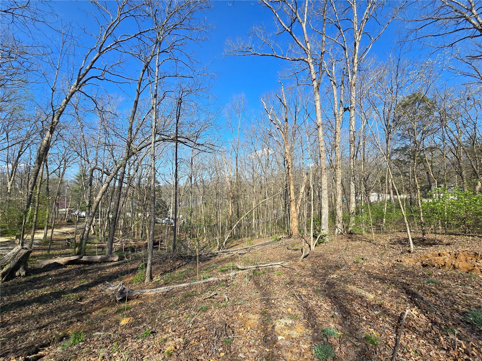 Lake Tishomingo - Land