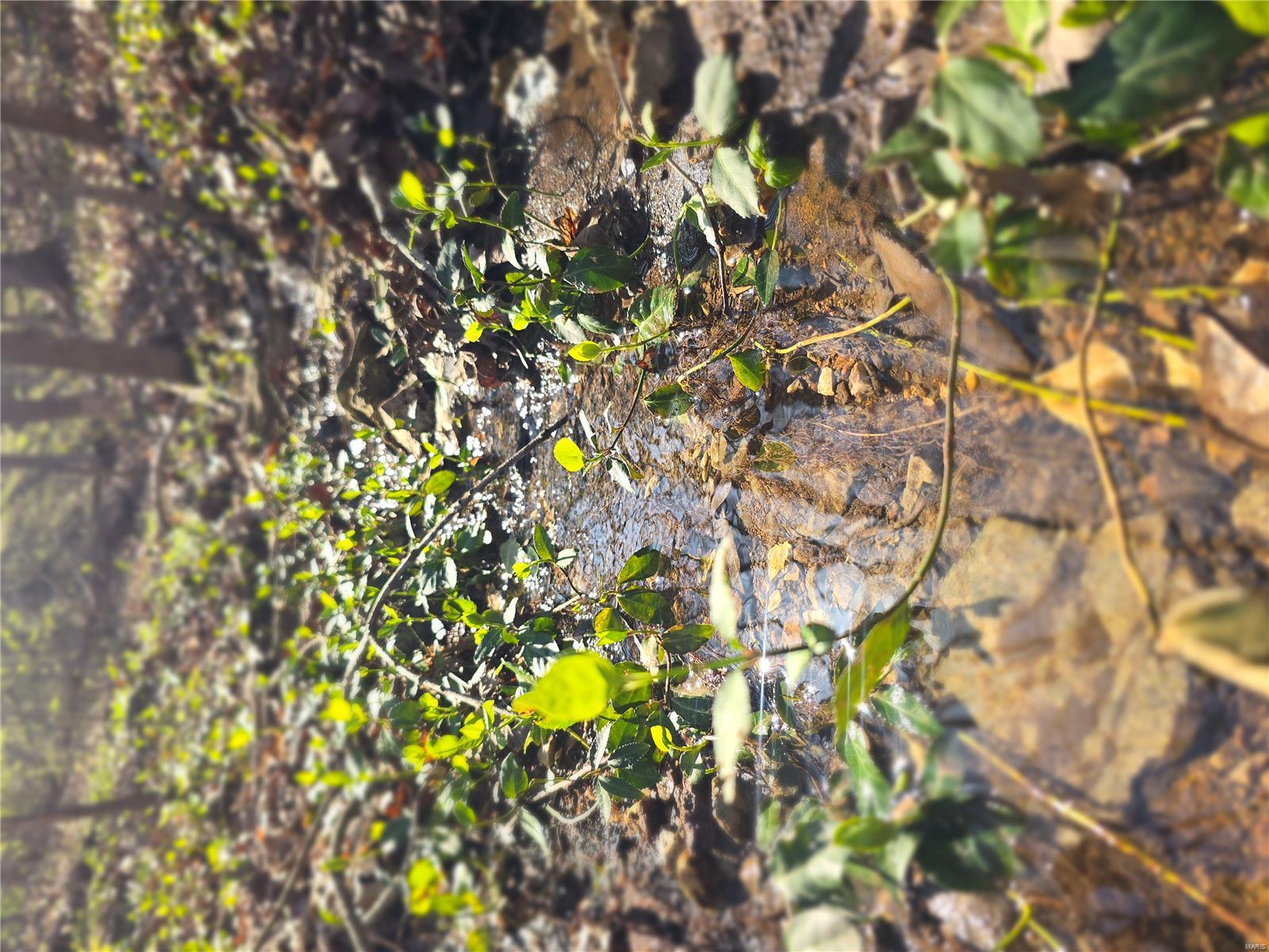 Lake Tishomingo - Land