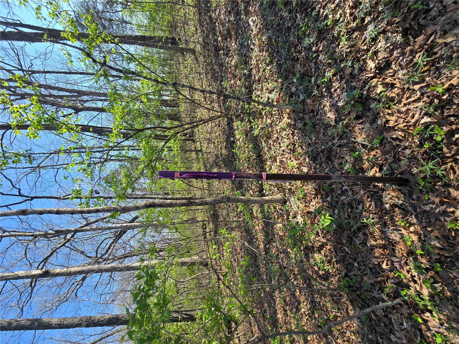 Lake Tishomingo - Land