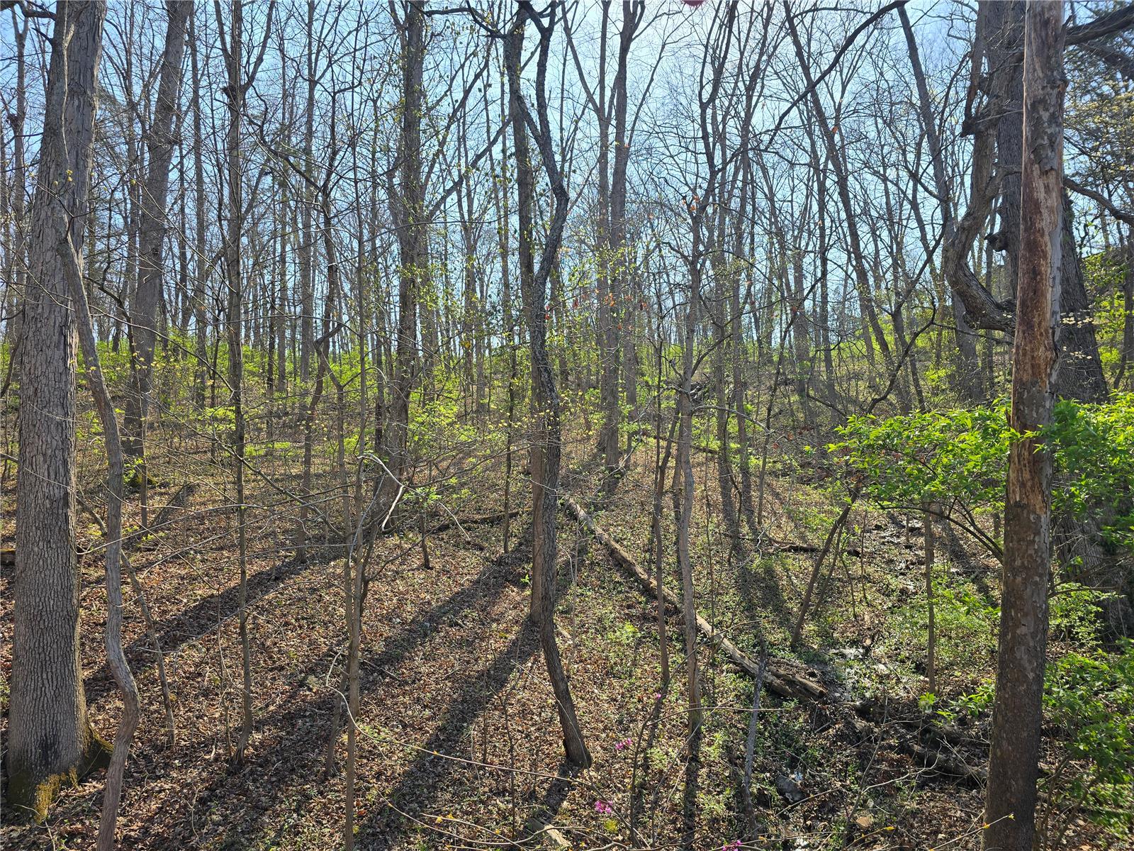 Lake Tishomingo - Land