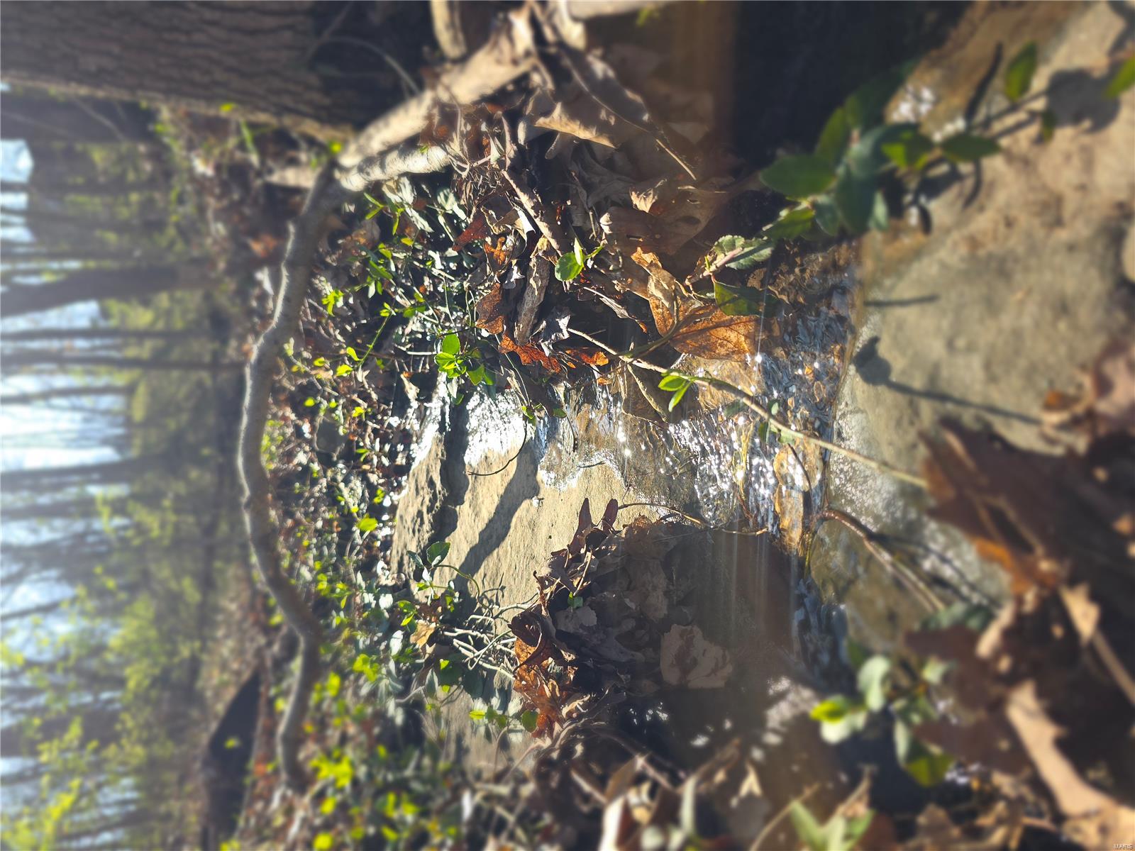 Lake Tishomingo - Land