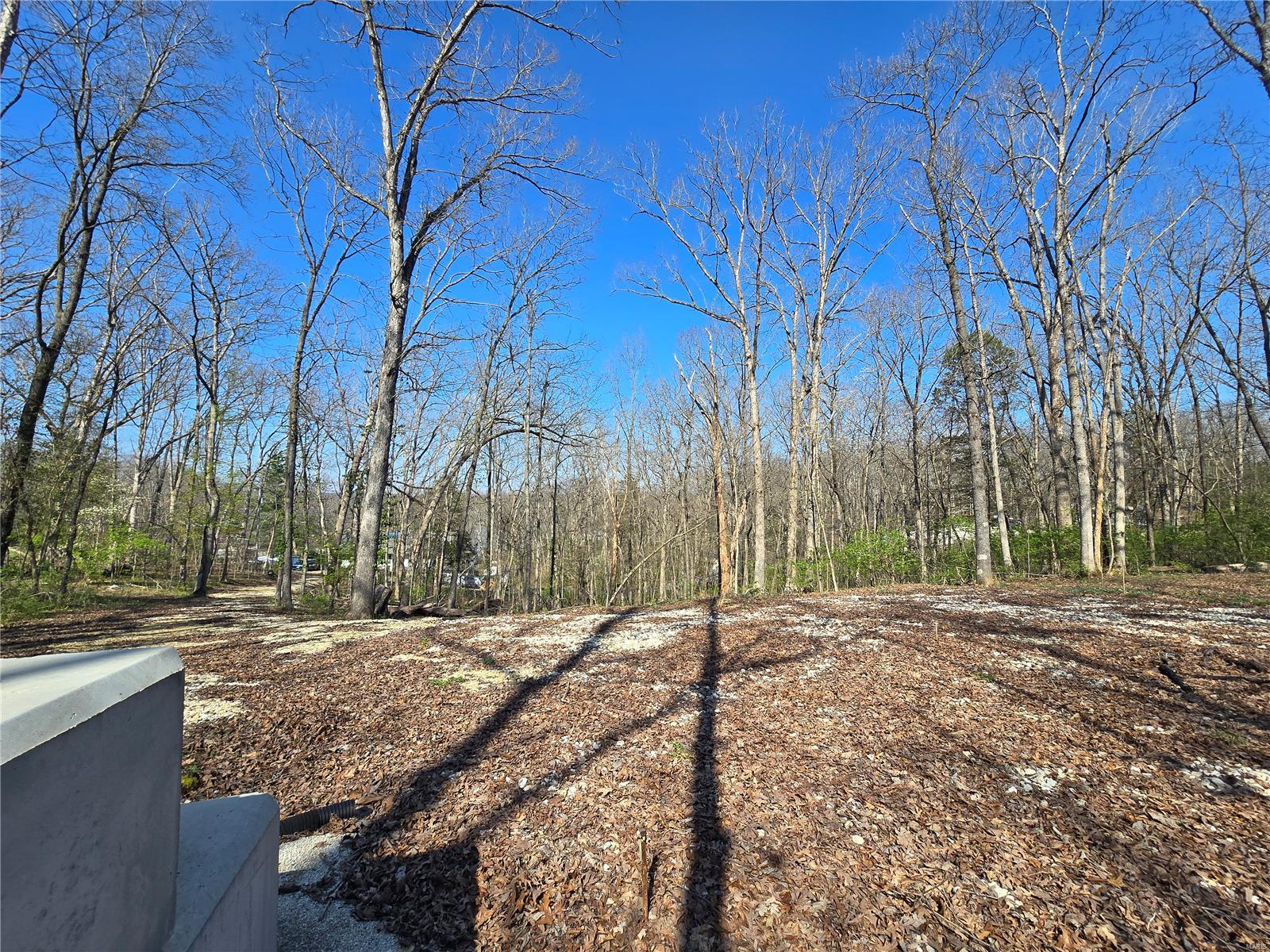 Lake Tishomingo - Land