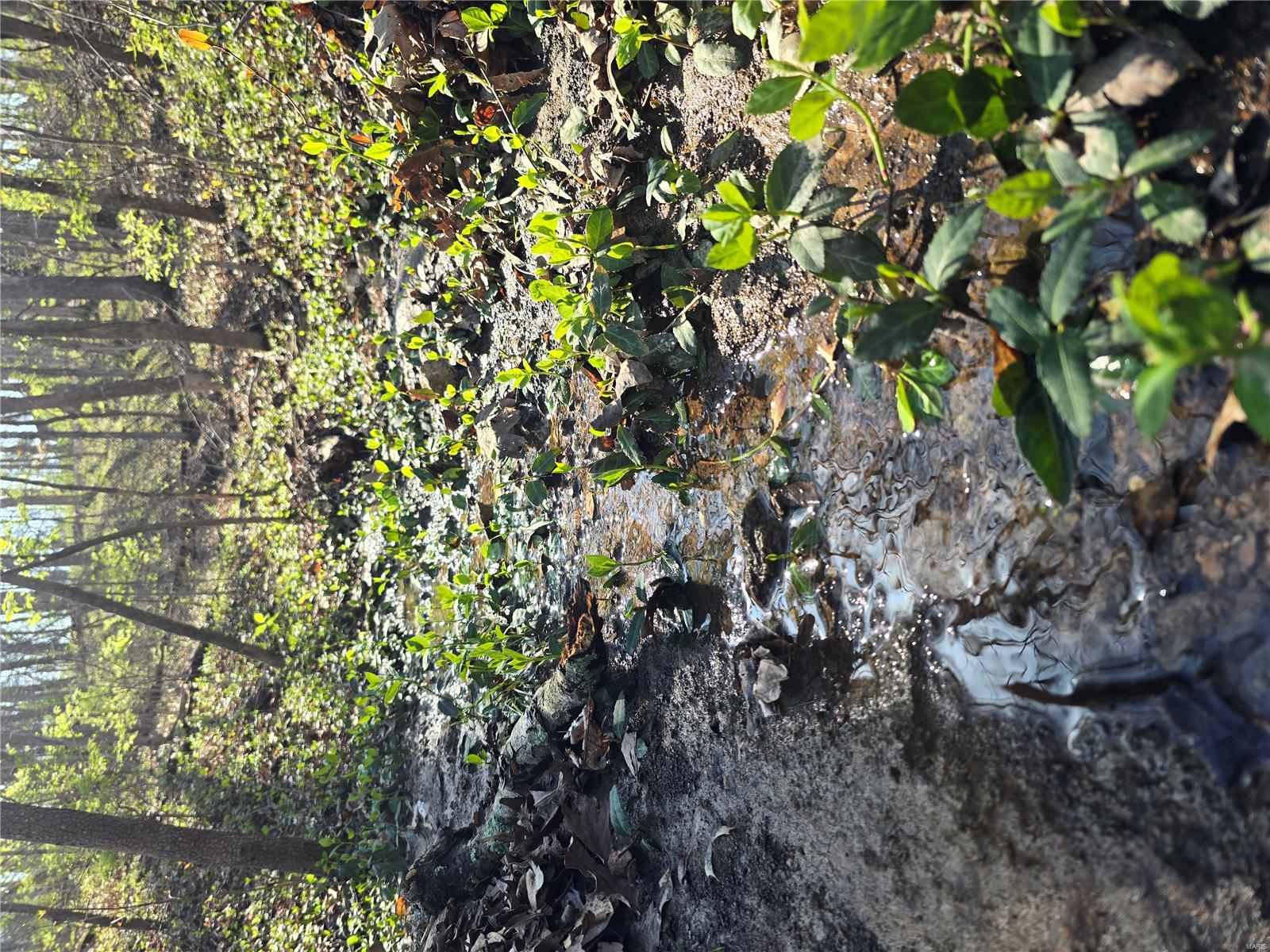 Lake Tishomingo - Land