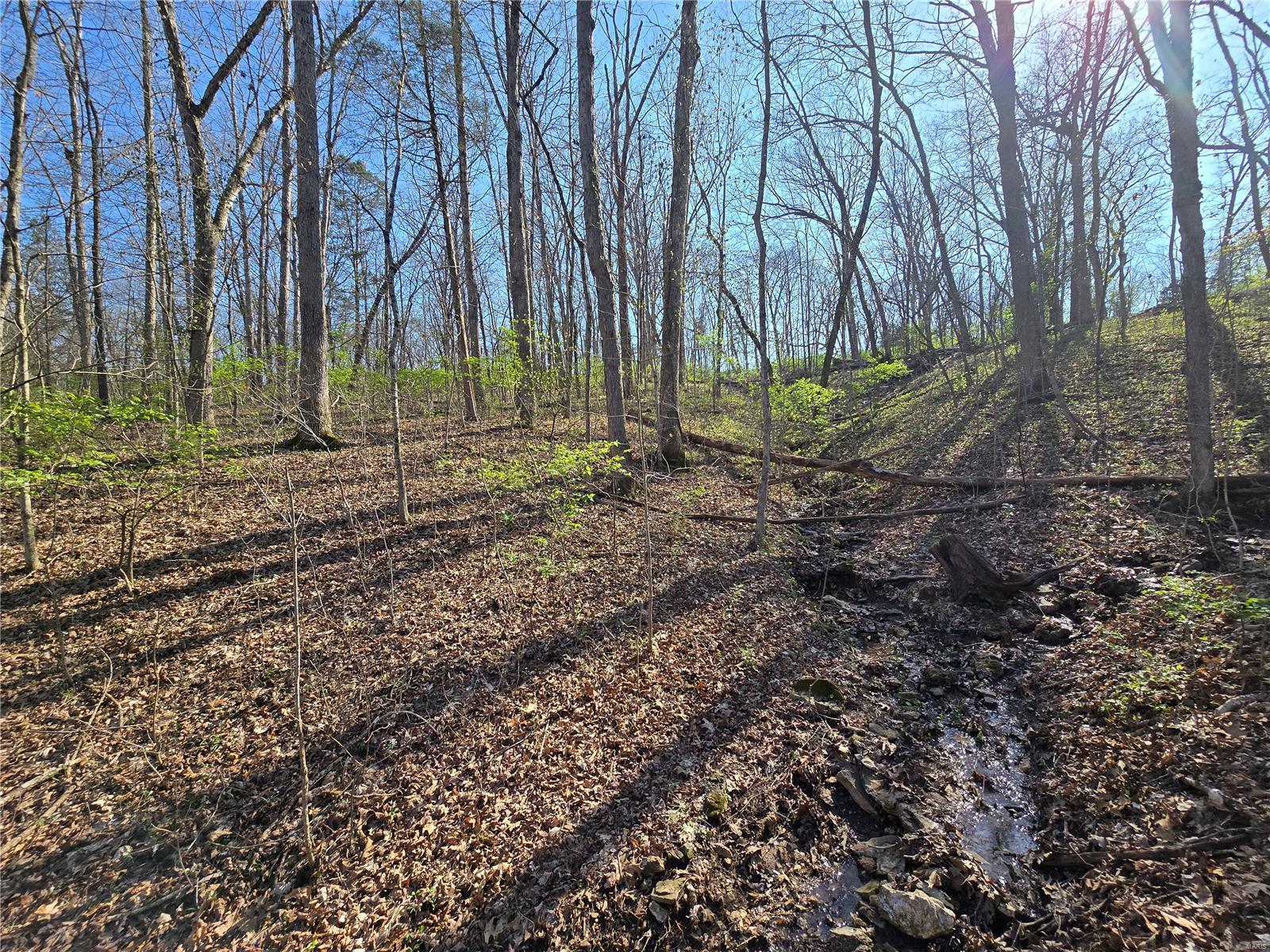 Lake Tishomingo - Land