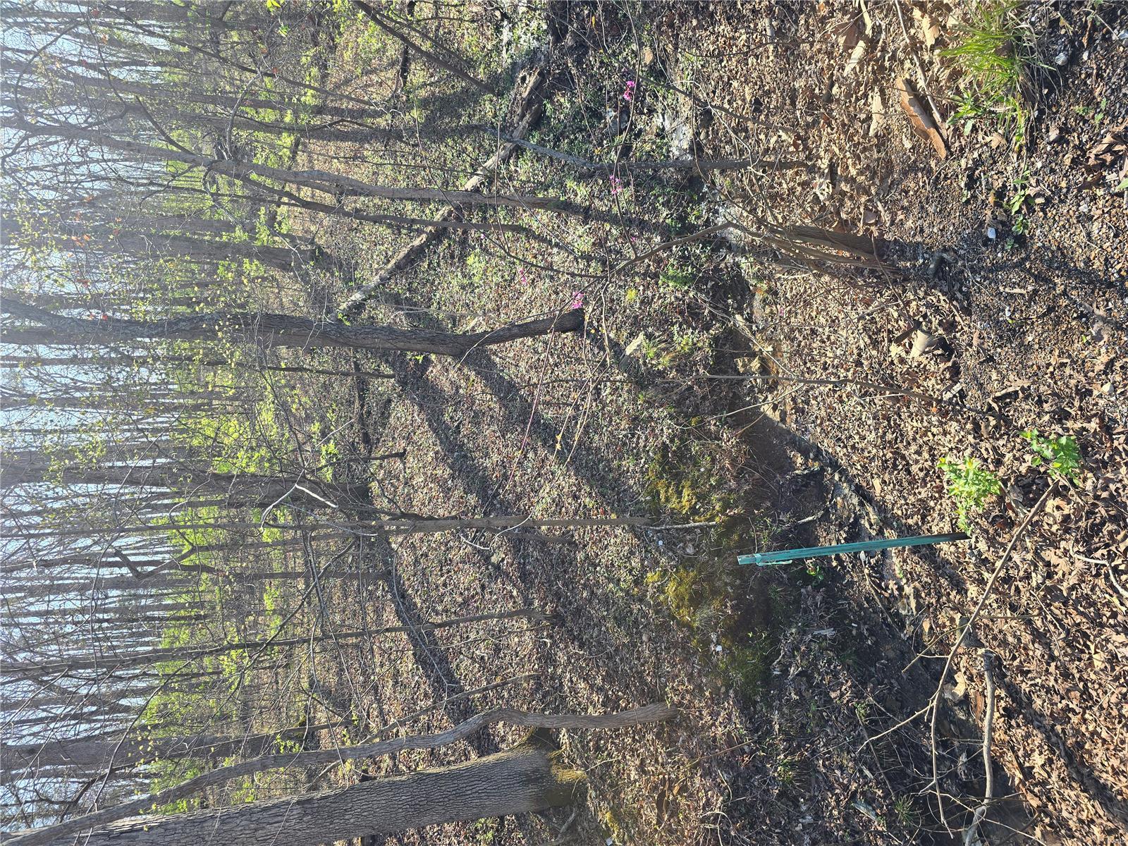 Lake Tishomingo - Land