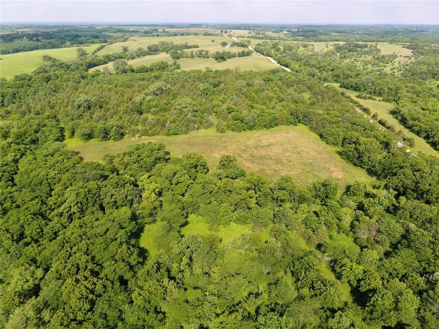 360 acres m/l Northern Missouri Combination Hunting and Income Producing Farm. 

360 acres m/l in Mercer County, Missouri located 10 miles northwest of Princeton, MO makes for great deer and turkey hunting with about 50% in woods or 194 timber. Remaining 50% or 166 acres m/l are tillable to bring in that extra income. Only minutes from Iowa. Its location, right off the black top on a dead end road, makes you feel like you are miles from other hunters.