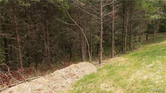 Raintree Plantation - Residential