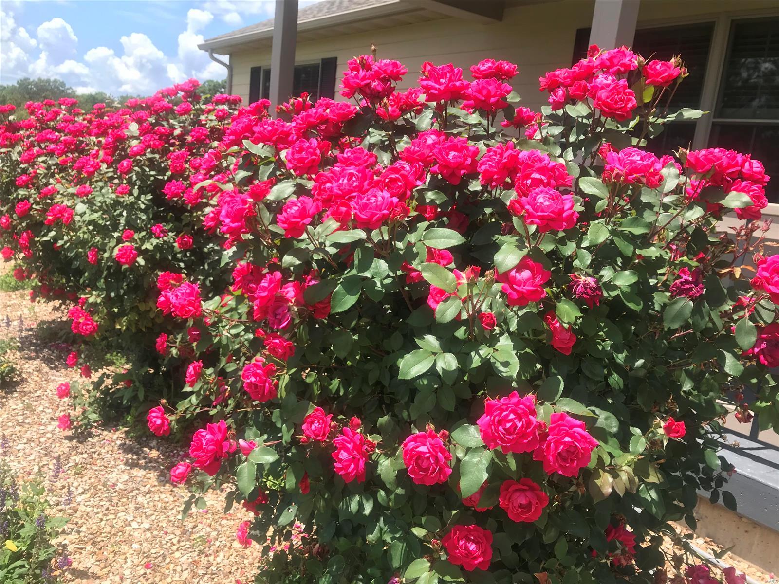 Bountiful Oaks - Residential