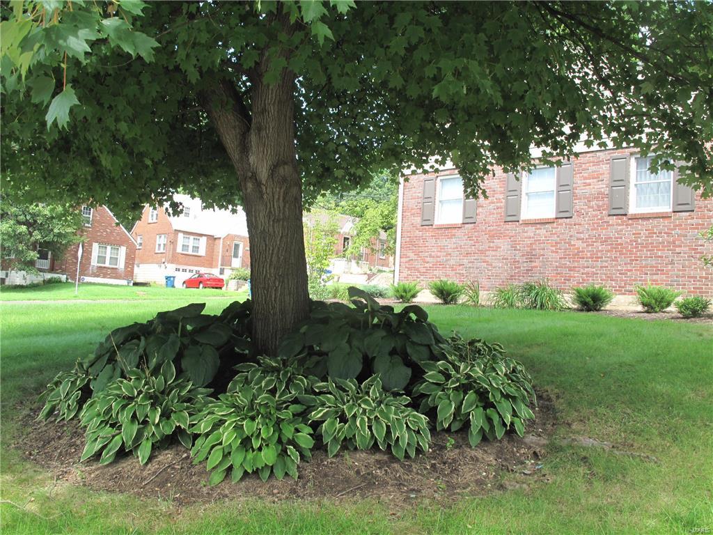 Geo S Case Tr - Residential