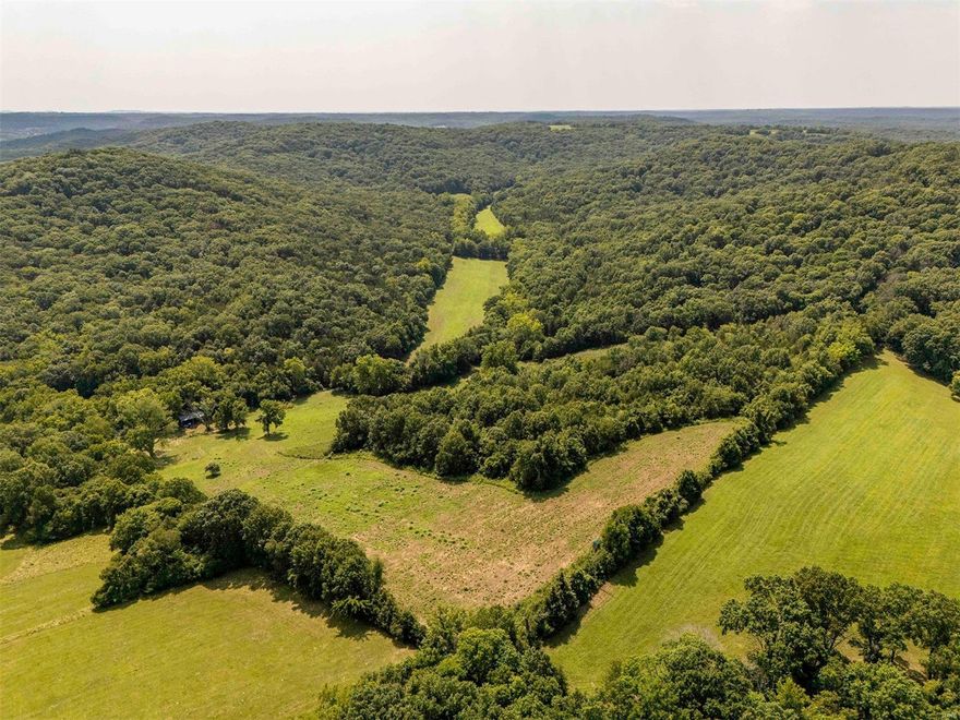 Located less than 10 min West of Hermann, MO in Gasconade County, you will find this 172.44 acre property full of incredible deer & turkey hunting land with stunning views. The property offers a great build site for your future home or hunting cabin with water & electric on site. Diverse wildlife habitats include hardwood timber, food plots, pastureland, wet weather creek and 2 wildlife ponds. The timber ridges are a mix of open hardwoods, cedars and thickets. Unique rock formations along the ridge top create ideal pinch points to hunt bucks during the rut. There are approximately 26 acres of open land that could be converted to additional green plots or crop fields. The property includes 4 elevated box blinds and has a great trail camera history. An older outbuilding is located near the deep well. Overall, it's a super nice hunting tract with a great spot to build only minutes from downtown Hermann.