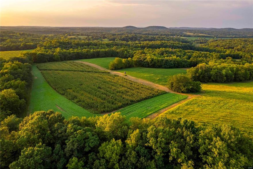 This sprawling 229.8 ac property is a top-shelf, turnkey opportunity that's tailor-made for hunting enthusiasts. Meticulously managed for trophy whitetails, turkey & quail w/ habitat improvements targeted at each species & their optimal needs to flourish. With a pristine landscape, income potential & abundant wildlife this property checks all the boxes!! 40 ac of row crop production generating income at $150/tillable acre through cash rent. A dedicated 21 acres of established warm-season grass is ideal bedding and nesting cover. Over 24 acres of established food plots featuring Alfalfa, Corn, Clover & Turnips ready to hunt this fall! The property comes equipped with 6 banks blinds and 4 feeders, start hunting immediately as the work has been done! The property boasts two spacious metal buildings, a 40x80 and a 30x36 offering storage space for equipment & more. Part of the property is encumbered by a conservation easement while a portion of the land is unrestricted and developable.