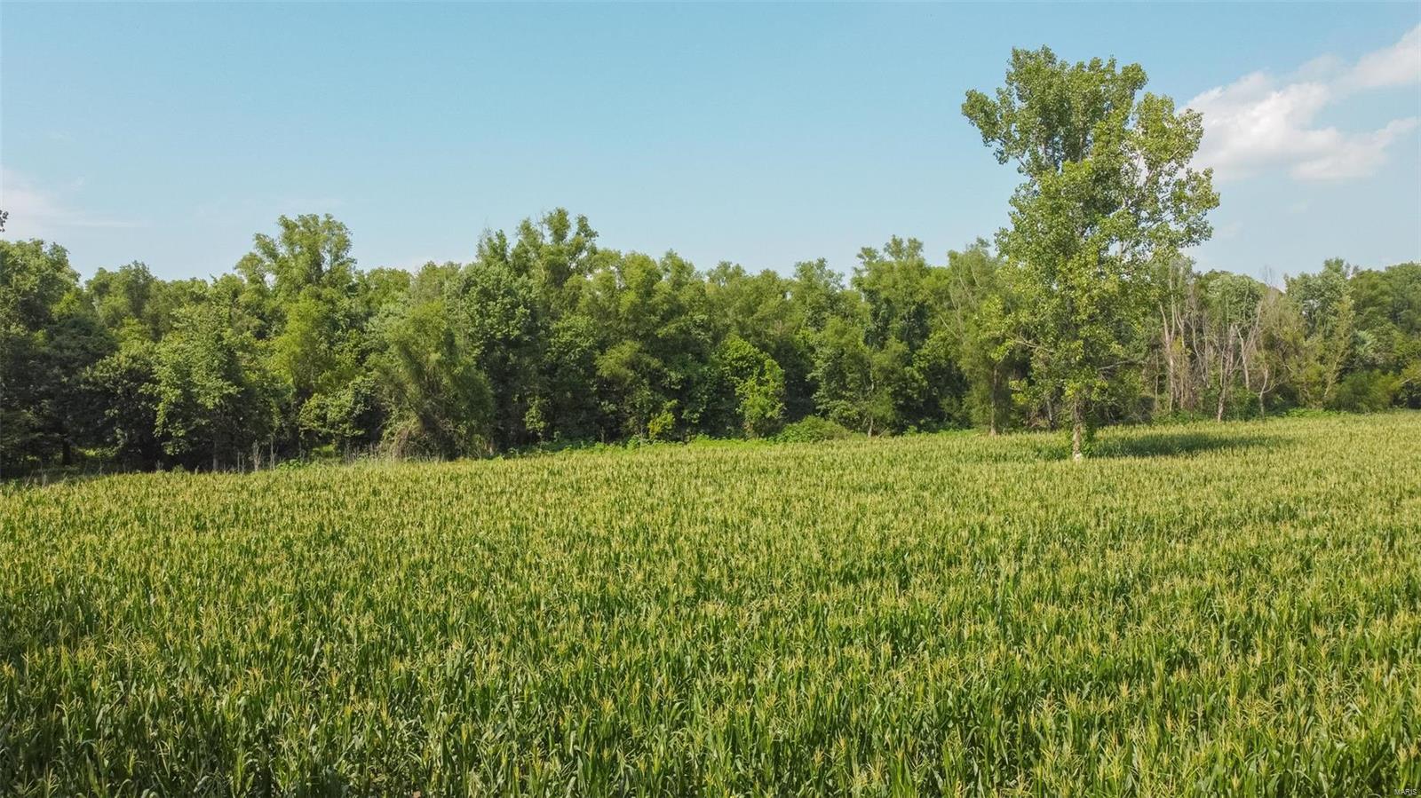 Non Subdivision - Farm