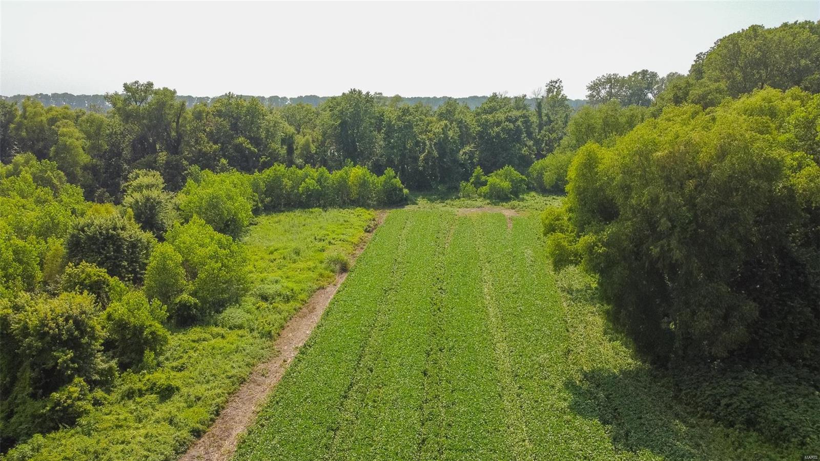 Non Subdivision - Farm