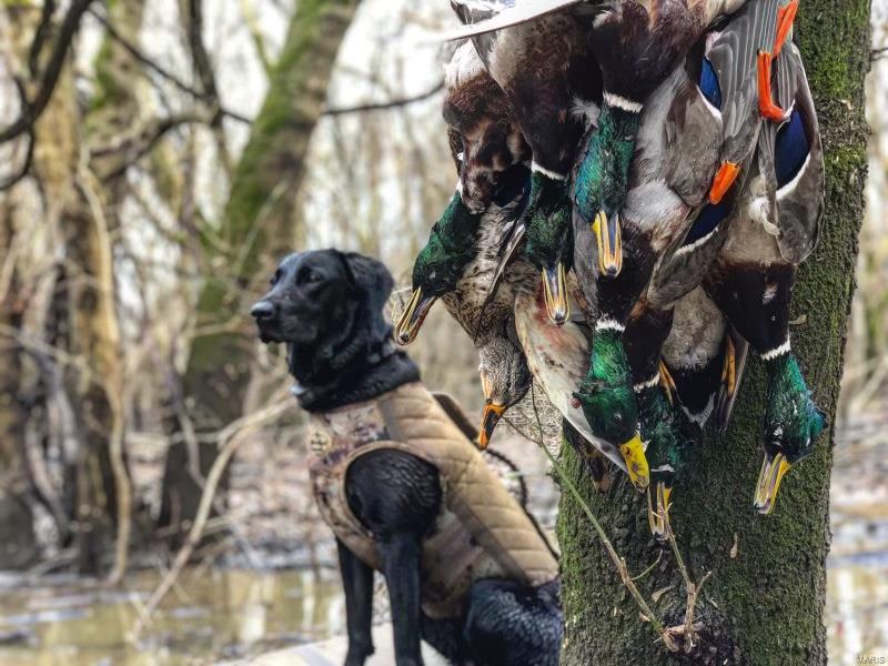 Non Subdivision - Farm