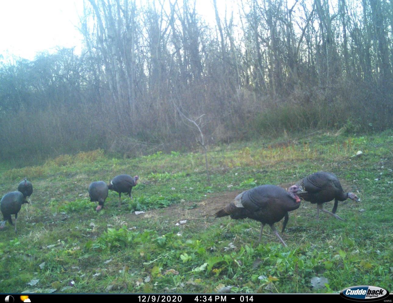 Non Subdivision - Farm