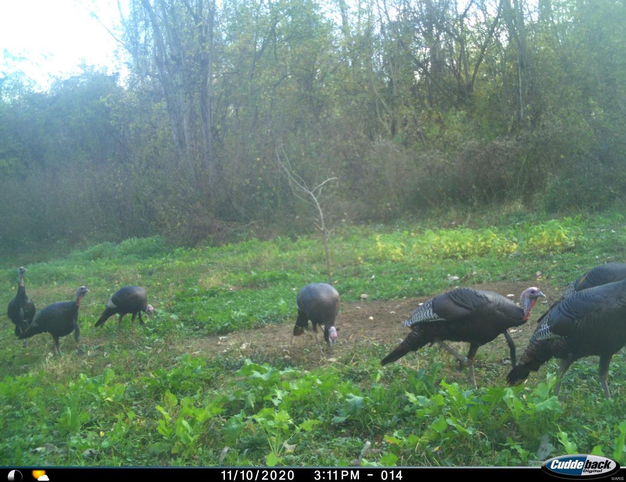 Non Subdivision - Farm