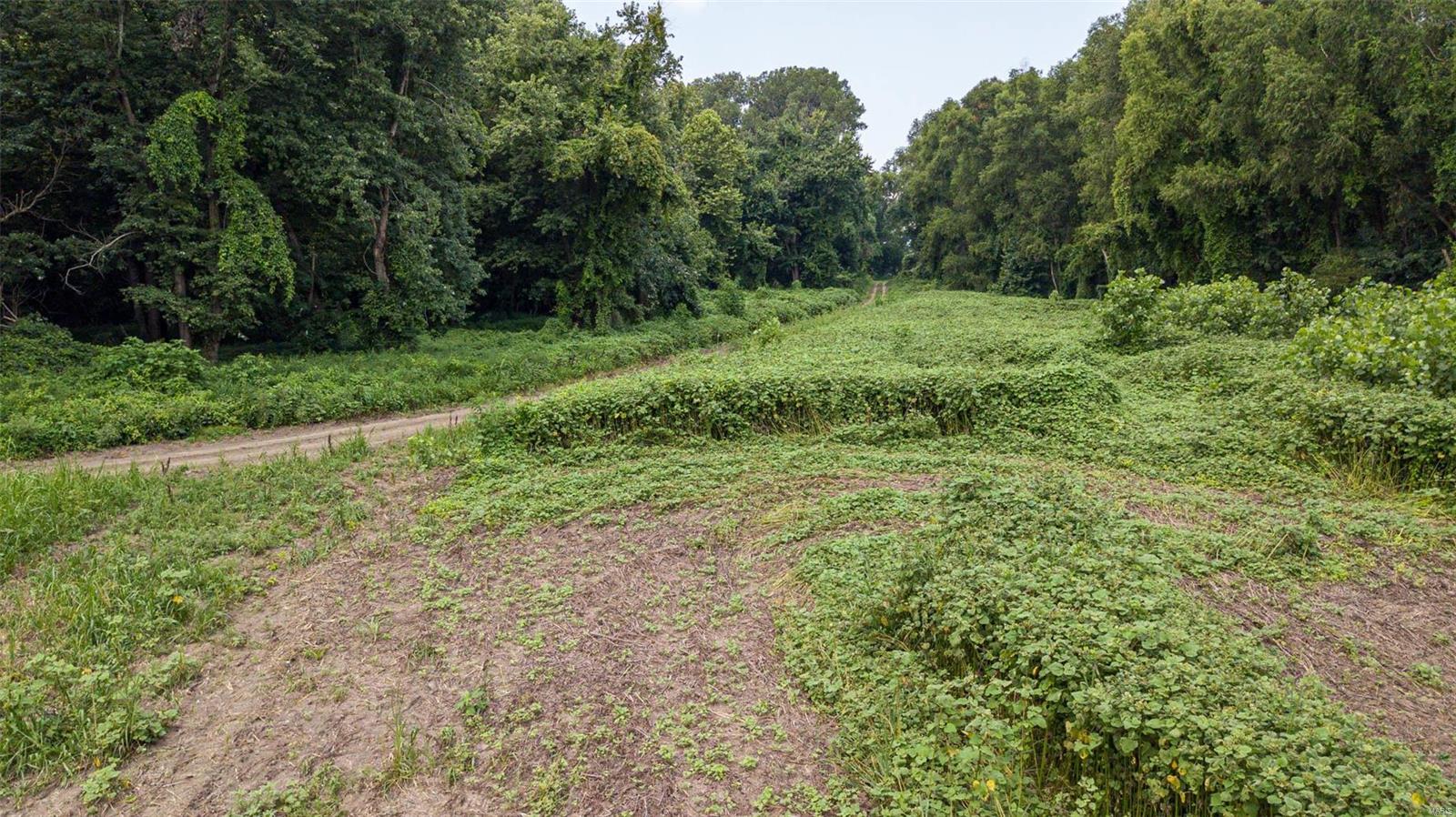 Non Subdivision - Farm