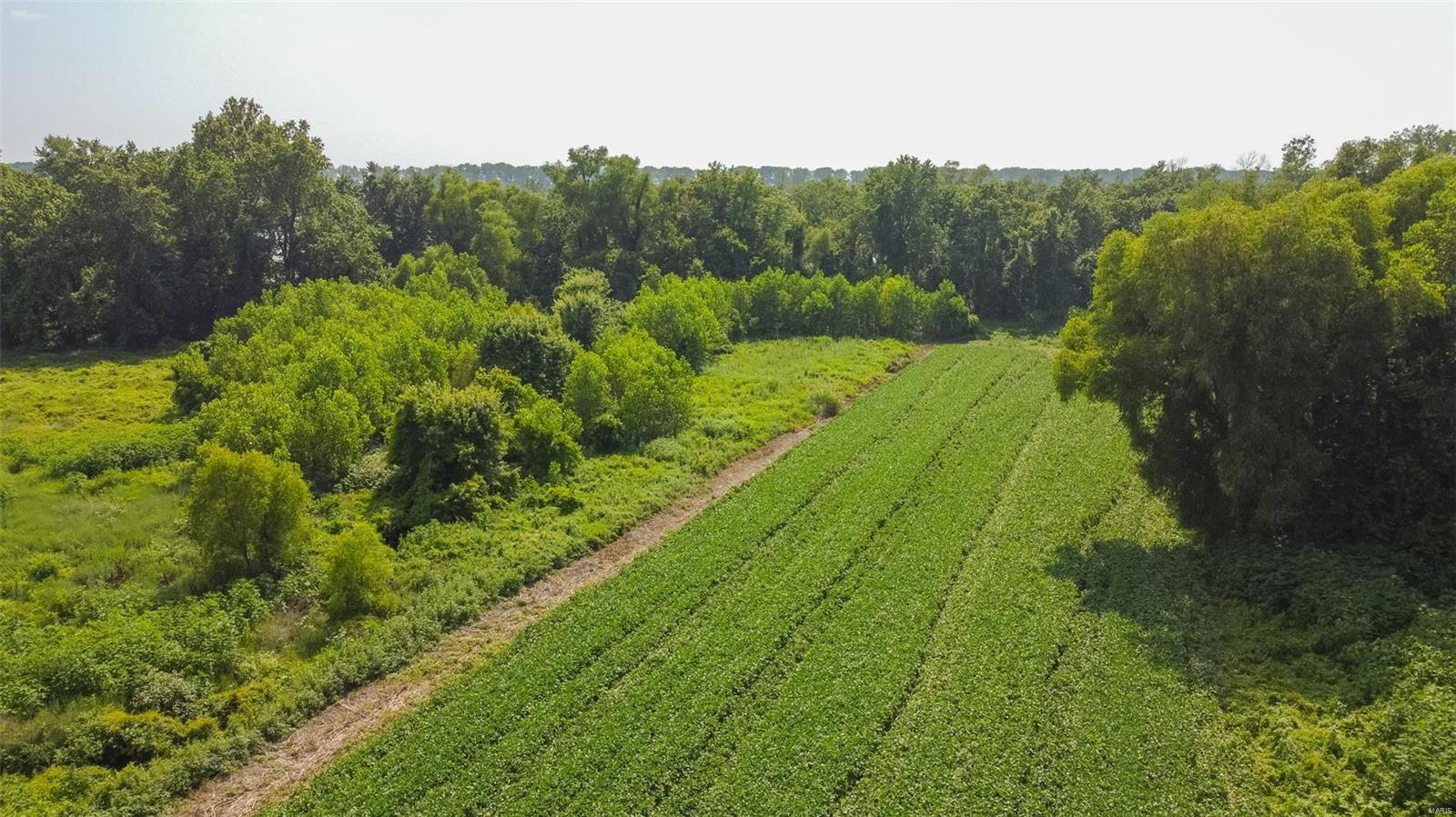 Non Subdivision - Farm