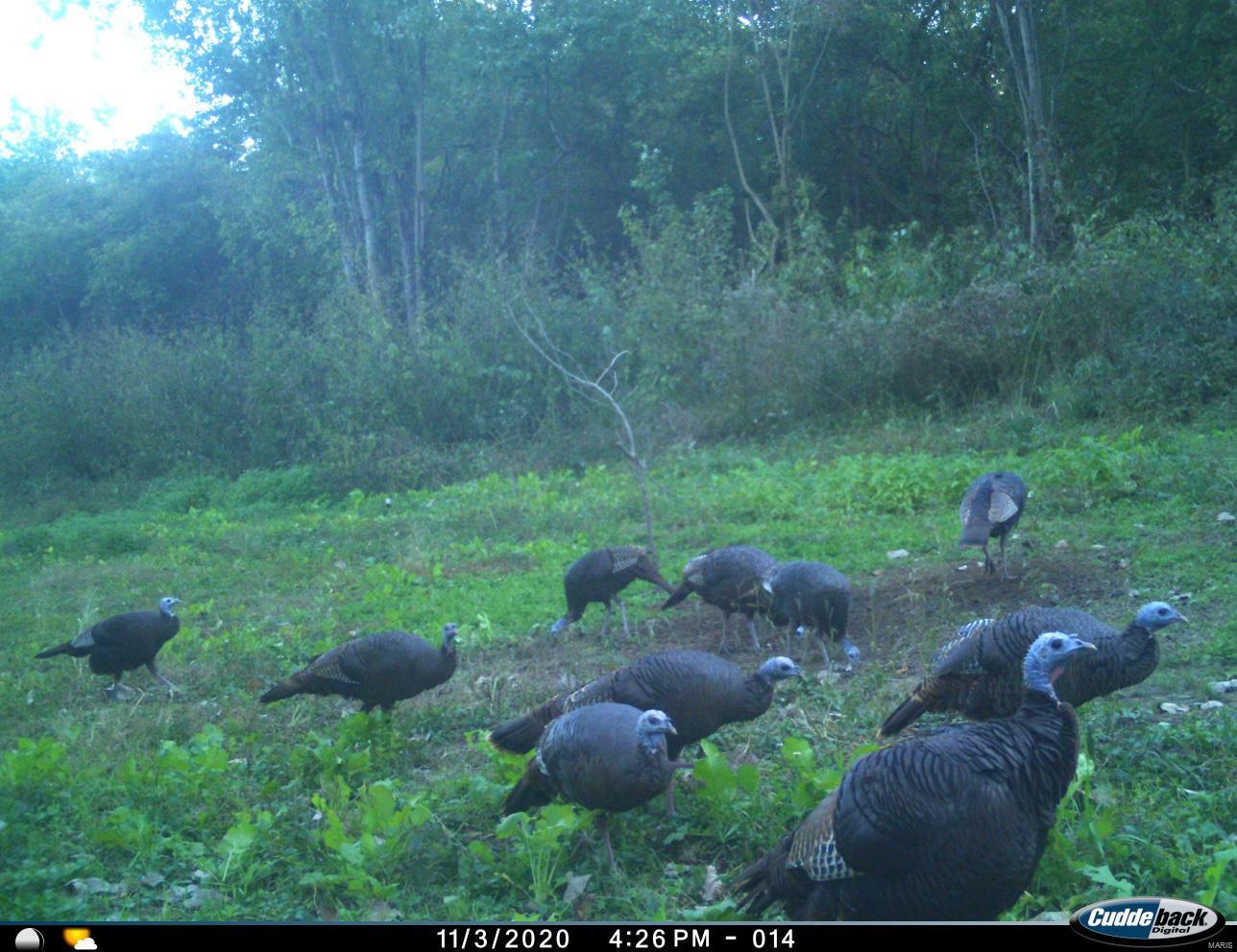 Non Subdivision - Farm