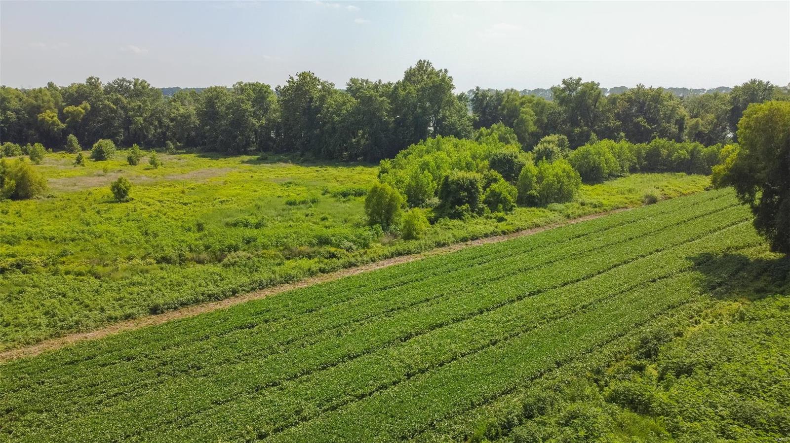 Non Subdivision - Farm