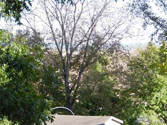 Hillcrest Heights Sub #1 - Residential