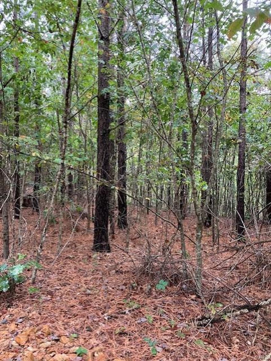 Wooded rural acreage with access to a shared spring-fed stream and within a mile of Mark Twain National Forest ... it doesn't get much better. It's a landowner's dream come true. 
This affordable Ozark oasis comes with NO restrictions. And there's a nice wide deeded easement gravel road leading from the county road to your property.
Hunt, camp, build, ride ATVs on your own land, or fish or play in the shared creek section. The opportunities are endless.
This property is wooded and rolling. You are within a mile of the 22,176-acre Mark Twain National Forest ... public ground where you can also hunt, ride and explore. All this, and only about 2 miles by road from U.S. 67 for quick and easy access.
Use this 8.996 secluded acres as a base camp for adventure. This and surrounding land is teeming with deer, turkey and small game, and the occasional feral hog or maybe a black bear. 
Ownership comes with access to a 3-acre shared stretch of the magnificent 12 Mile Creek and gravel bar.