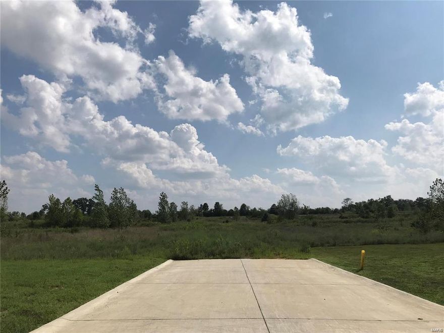 The property once had an approved plat for builders from Troy.   Due to time submitted you will need to do a new one...Or sell for a single residence or subdivide for larger lots.  Excellent location! Additional Rooms: Other