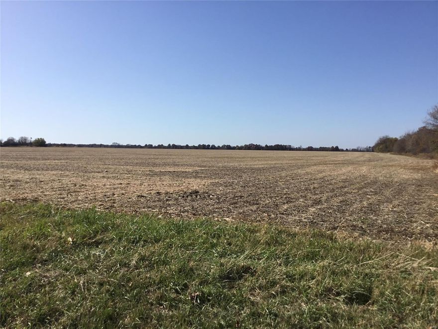 238 Acres Audrain County, 227 FSA acres tillable. Farm was cash rented for 2020.  95% tillable ground.  Highly productive farm ground.    Gravel Road on 2 sides.