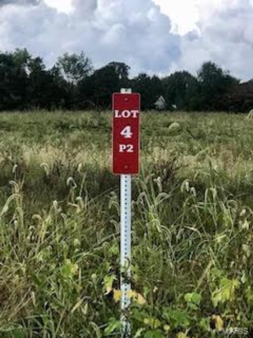 Build your dream home on this gorgeous 5+ acre lot in the highly sought-after wine country of Franklin County. This lot is cleared and would suite a side walk out basement. A creek runs through the front corner and there is a row of trees along the back of the lot. Washington School District. Buy now and build later or start putting your building plans together today! Additional Rooms: In Platted Subdv.