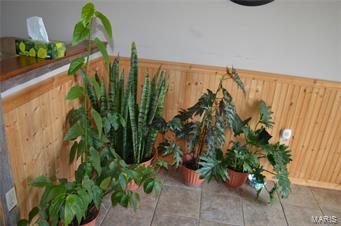 Frene Sub - Residential