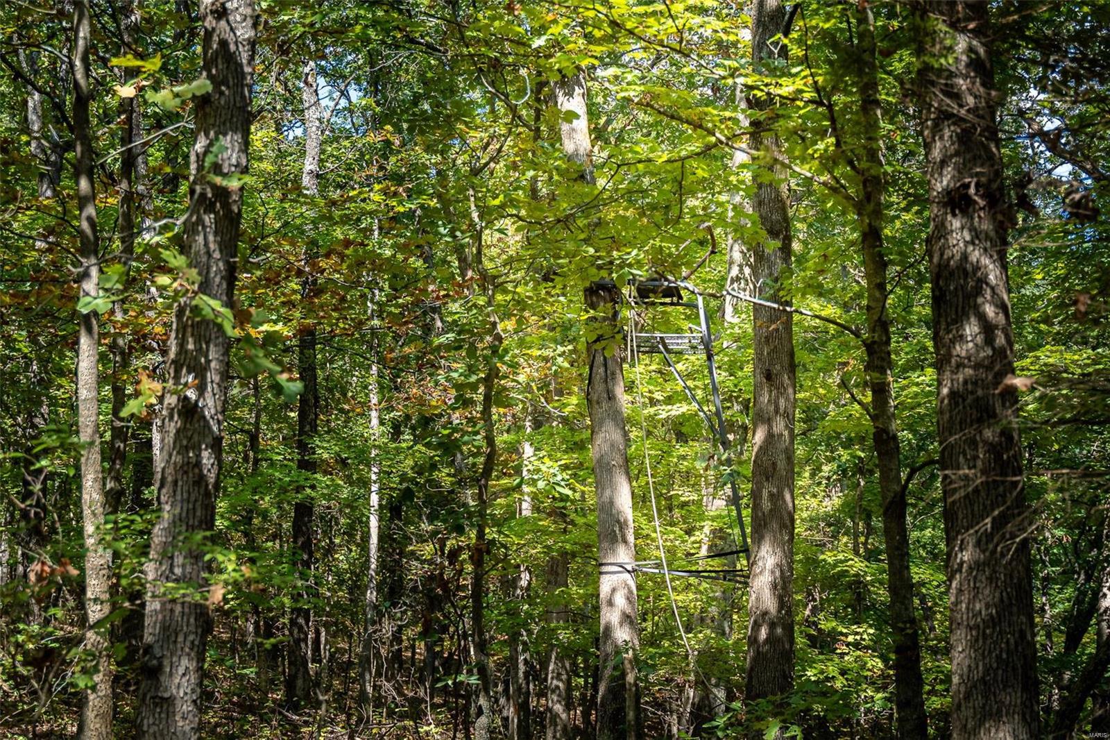 Hoven Vly Estates - Farm