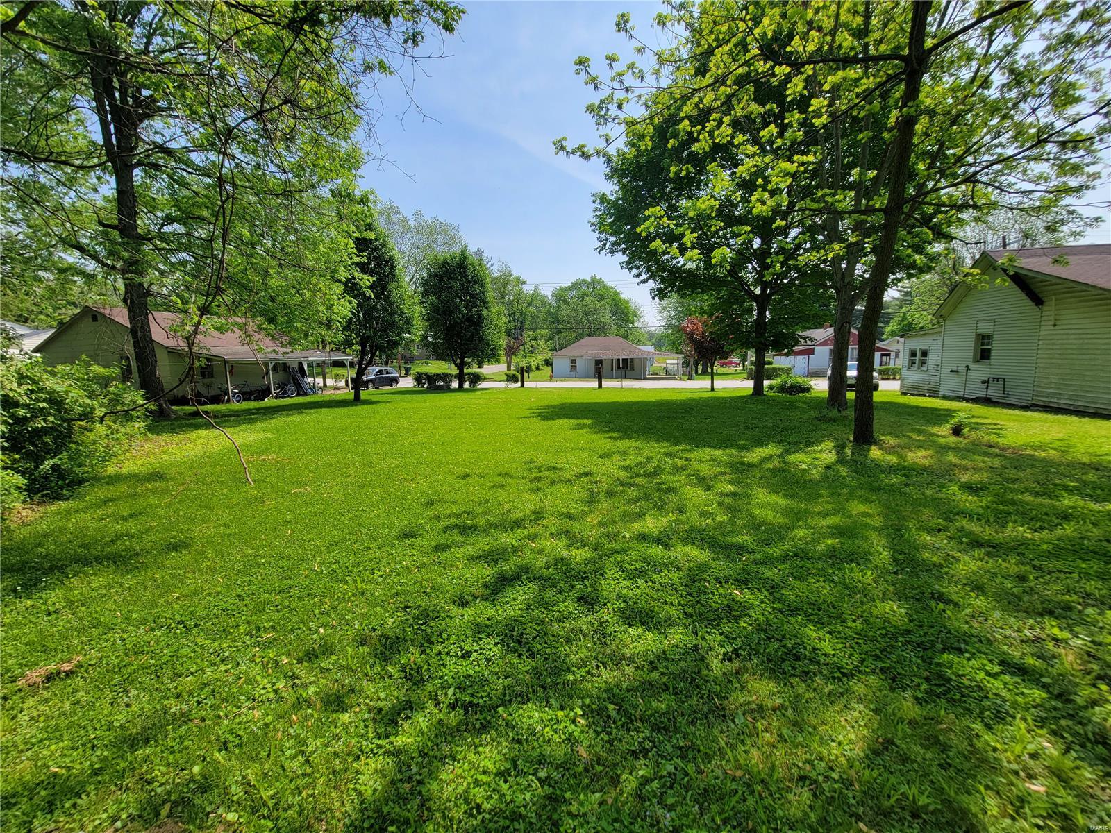 View Louisiana, MO 63353 property