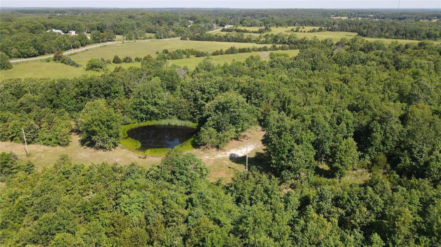 VIP 4685 Call to schedule your private showing today on this farm close to Montauk State Park and Current River. The property is loaded with Deer and Turkey. This 22 acres will be surveyed off of a 130 acre parcel. Nice mix of pasture and woods with a wet weather creek and nice pond. Multiple areas for food plots or your future spot to build. Electric on the property. Don't hesitate to call! This one won't last long!!