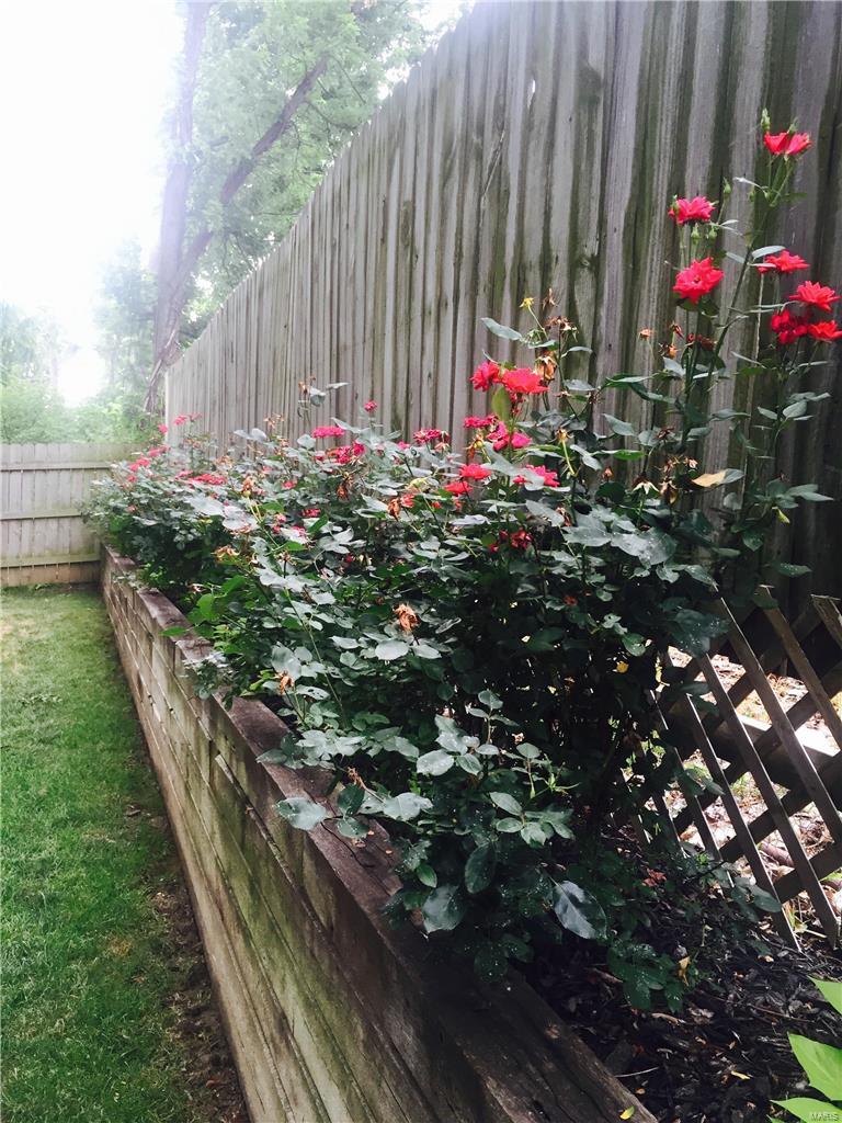 Shackleford Court 2 - Residential