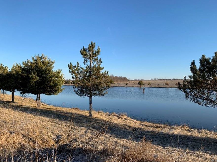 This 174 acre farm has been developed into an amazing fishery, country retreat and "safe haven" all in one. With 2 large lakes and some smaller ponds, there is more water here than you can fish in several days! The farm provides income as well. 108 tillable acres bringing in $150/tillable acre per year. There is a 2 BR home with a 30X24 outbuilding for storage and room for several campers to come and "stay a while" if you are so inclined. This property is on blacktop Hwy BB, just outside of Middletown, MO and there is almost no traffic at all. This makes this farm the perfect sanctuary for you and your family! This is a place that you can "get away from it all" and still be less than an hour from Wentzville and just 20 minutes from Montgomery City. There is nothing else like it! The hunting is endless! Big deer, turkey, quail, ducks and geese, rabbit and who knows what else! This property can double as a Sportsman's dream and a safe getaway in difficult times.