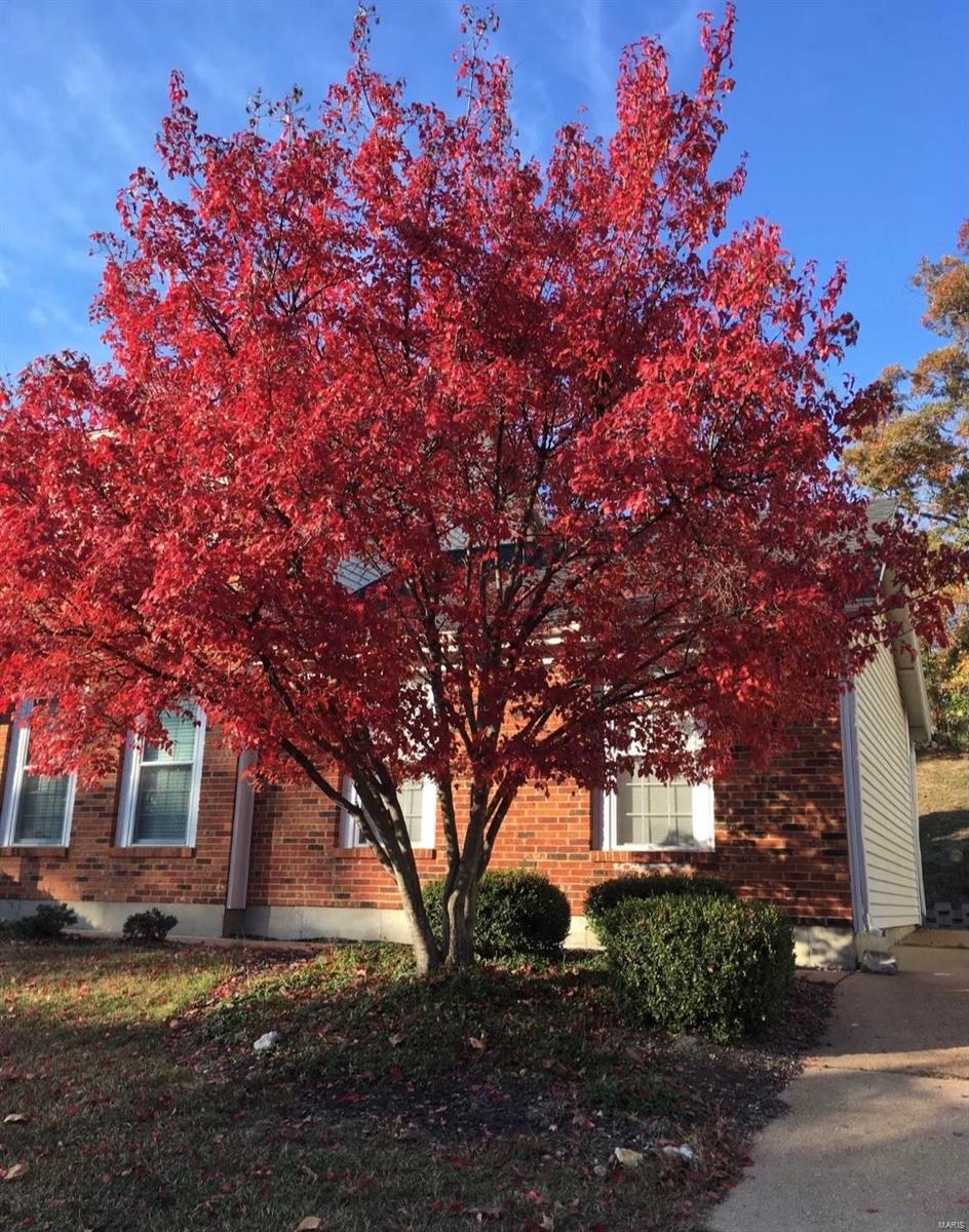 Westglen Farms Three - Residential