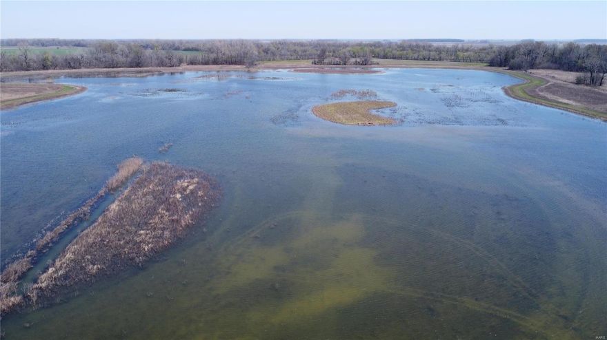 438 acres m/l of mixed use waterfowl hunting and recreational land for sale in New Madrid County, Missouri. Located 5 miles from Ten Mile Pond Conservation Area between East Prairie and New Madrid on Barnes Ridge just 8 miles off the Mississippi River. This region has become the hotbed for the Mississippi Flyway thanks to it's central proximity to a handful of National and State wildlife management areas as well as countless acres of dedicated habitat from private clubs and Mississippi backwater. Known as Greenhouse, this mixed-use tract has restored via WRE conservation easement and developed to provide a variety of habitat to migratory birds and waterfowl as well as upland game species and whitetail deer. Featuring 6 waterfowl impoundments with water control structures and irrigation well along the historic Black Bayou lowlands. Approx 11 acres of high ground has been left out of the easement along the blacktop to allow for building a home or lodge. Additional land available.