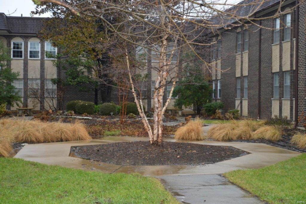 Lin Capri Manor Condo - Residential